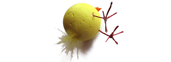 445ba686e439d6641f025847060abd48