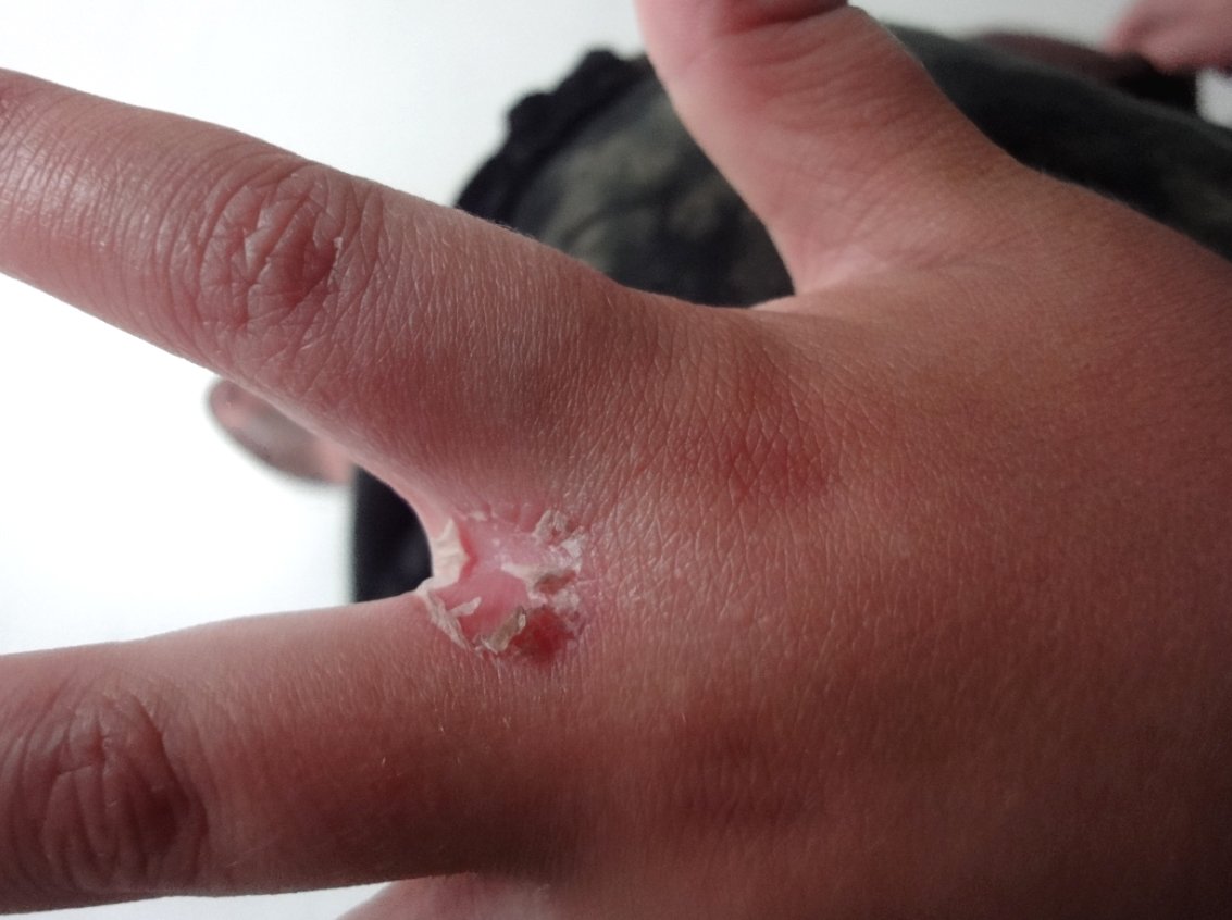 6f20a308f1060d1f2af553dc01d9feb7