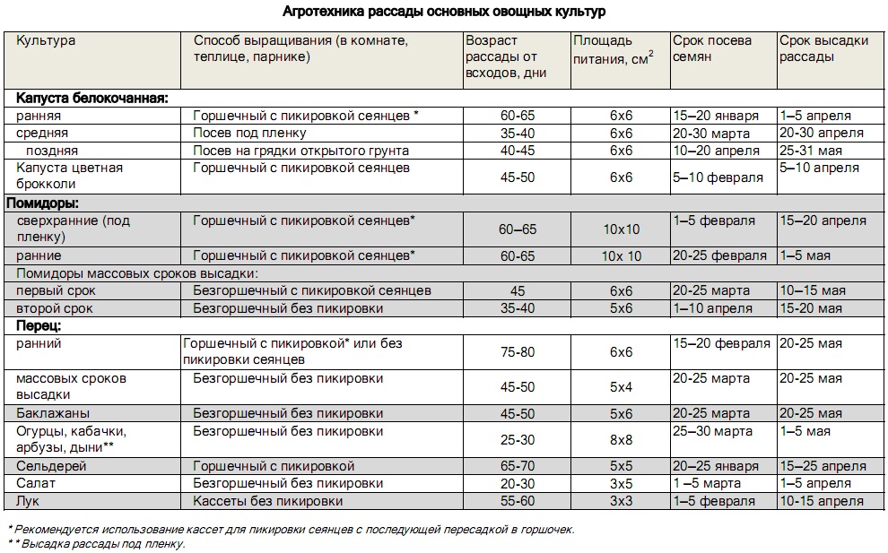Сроки растут. Возраст рассады для высадки в открытый грунт таблица. Таблица сроков посева семян на рассаду. Сроки высадки семян на рассаду овощей таблица. Сроки высадки семян томатов на рассаду.
