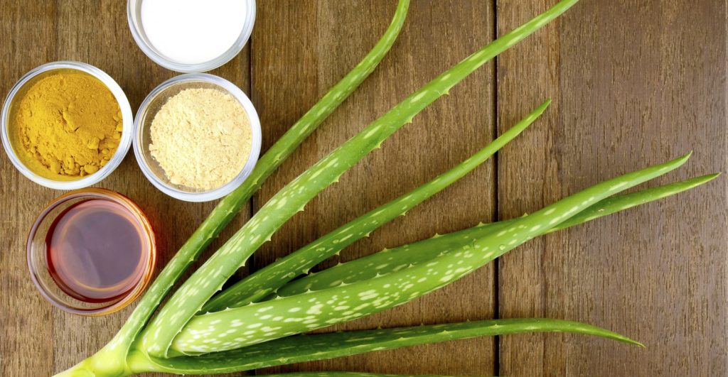 Facial Treatment Recipe with Fresh Aloe Vera on Wood Background.