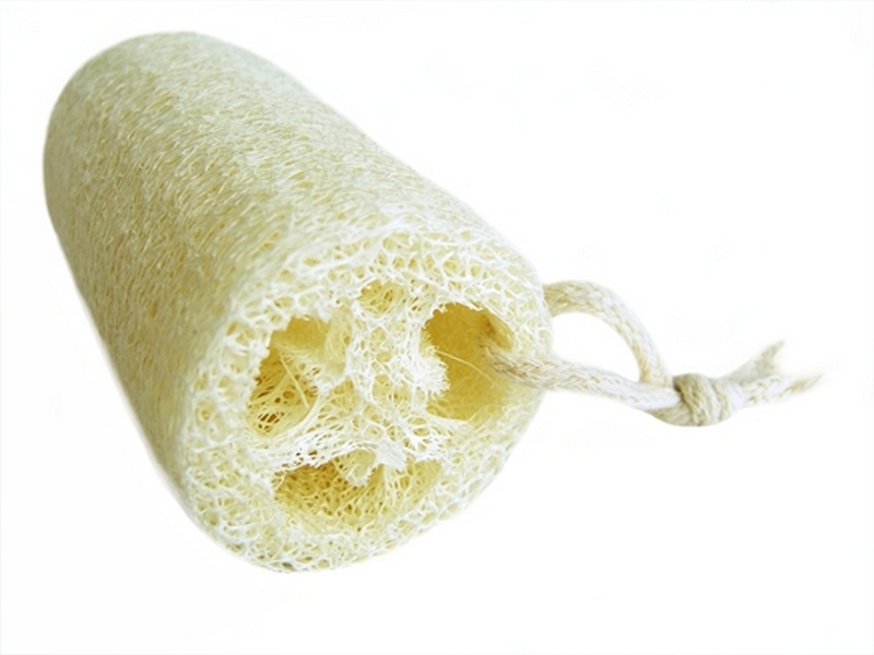 mochalka-i-ee-istoriya