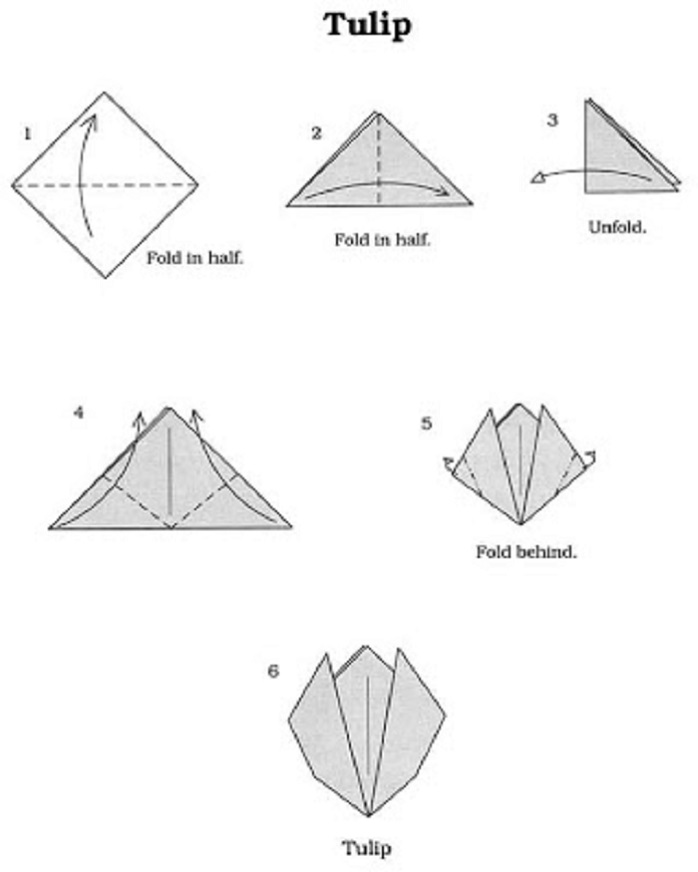 Как сложить тюльпан. Оригами тюльпан из бумаги схема для детей. Тюльпан оригами схема пошагово. Оригами цветок тюльпан схема. Оригами тюльпан плоский схема.
