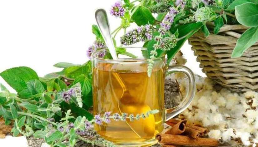 pravelno-prigotovit-otvar-trav-e1488741346562