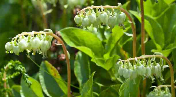 1463109380_2016-05-13_071502