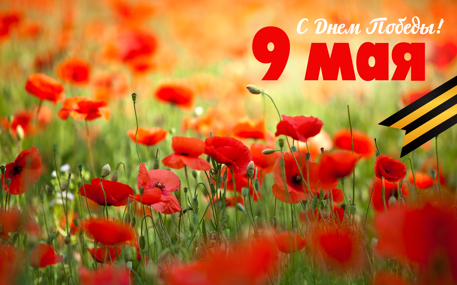 Картинки по запросу картинки открытки на 9 мая