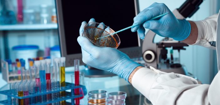 2480038159f6ee7384fa3