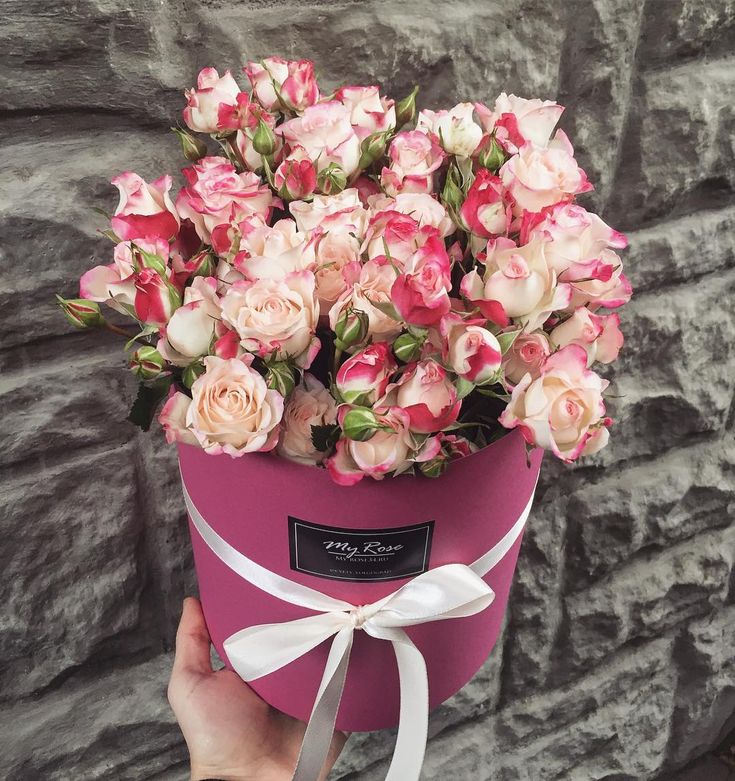 50eb9100a4551d224fcc3326dfe2e282