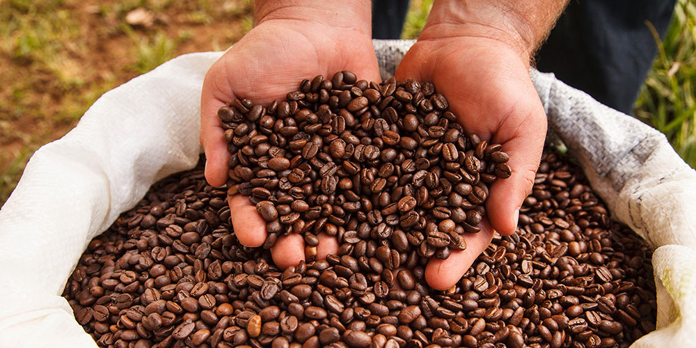 almy_efr09w_coffeebeans