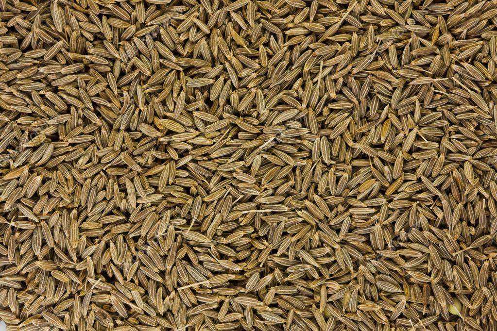 depositphotos_27816081-stock-photo-seasoning-grains-zira-kumin