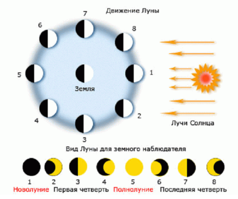 4 фазы луны в картинках с названиями