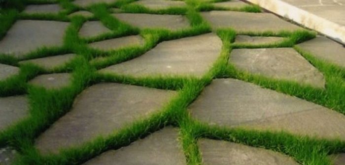 etap-proektirovaniya-cadovoj-dorozhki-3