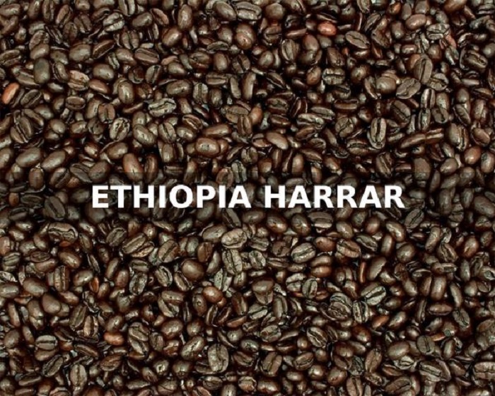 harrar_9323d817-e7cf-46db-bca0-9aa7ce668ba9_grande