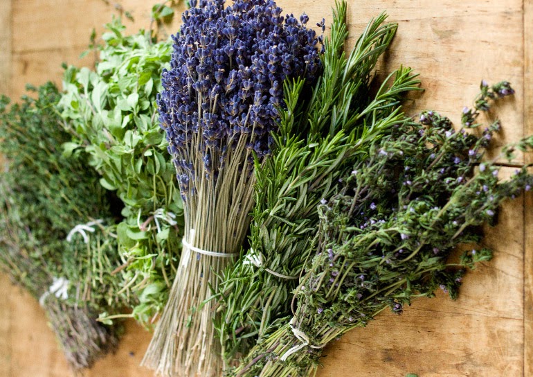herbes_de_provence_1