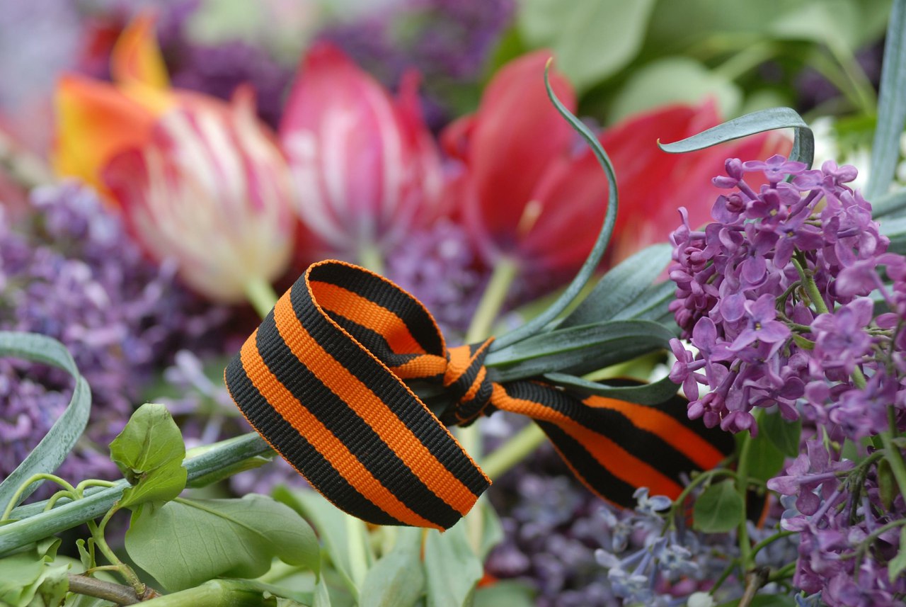 Картинки по запросу 9 мая