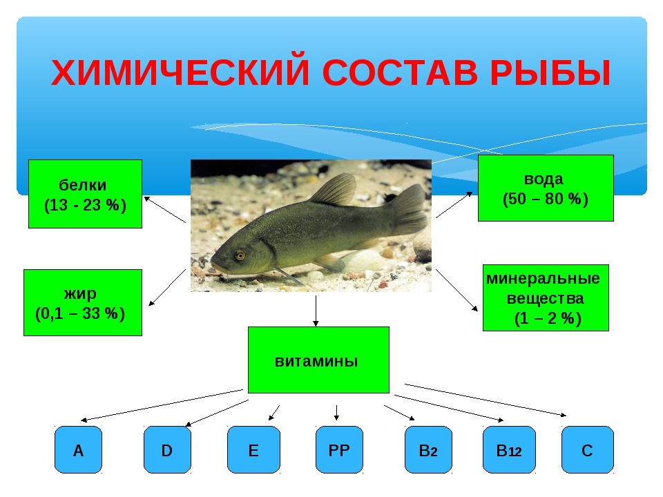 Вещества в рыбе