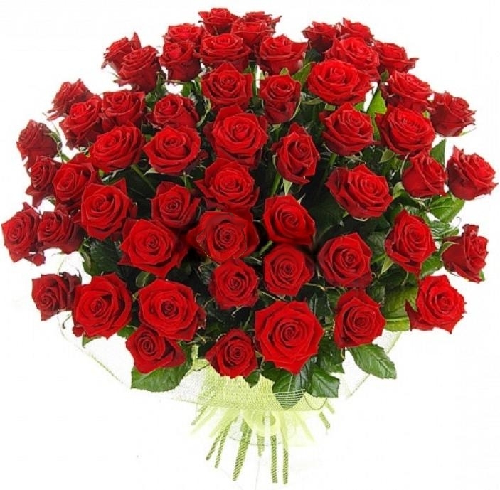 kartinki24_flowers_0017