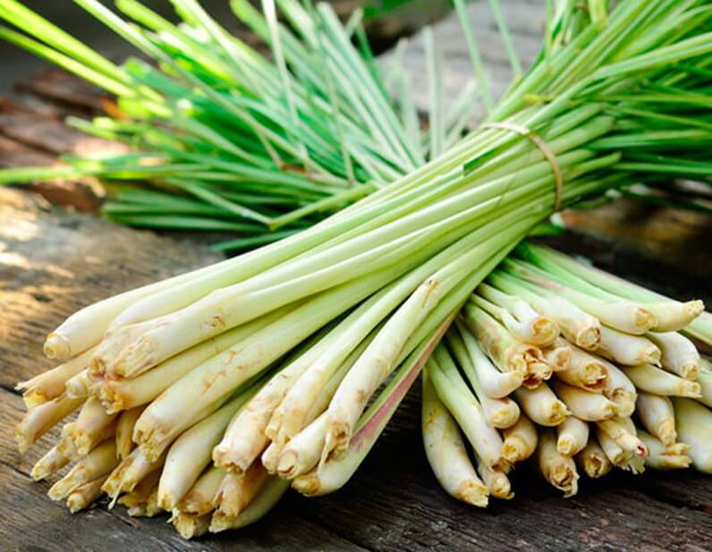 lemongrass