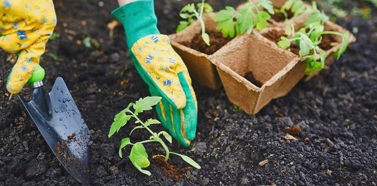 lunnyj-posevnoj-kalendar-na-2018-god-2