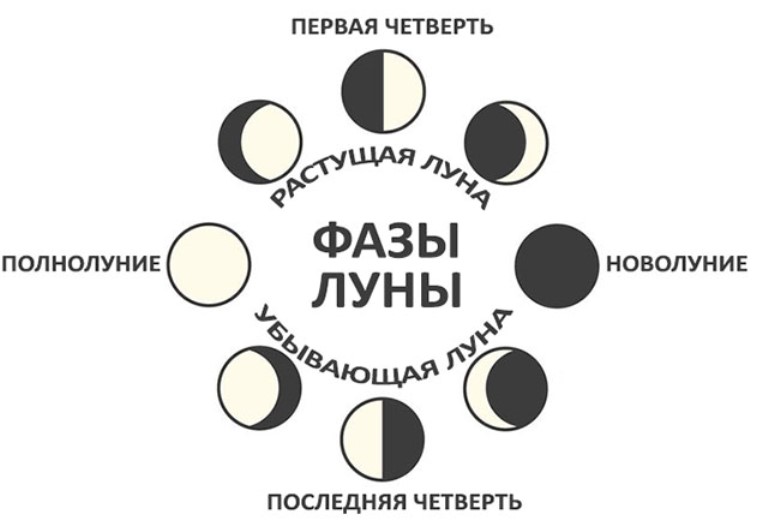 moon-phase