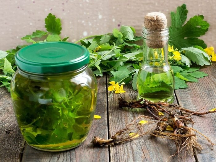 nastojka-iz-chistotela