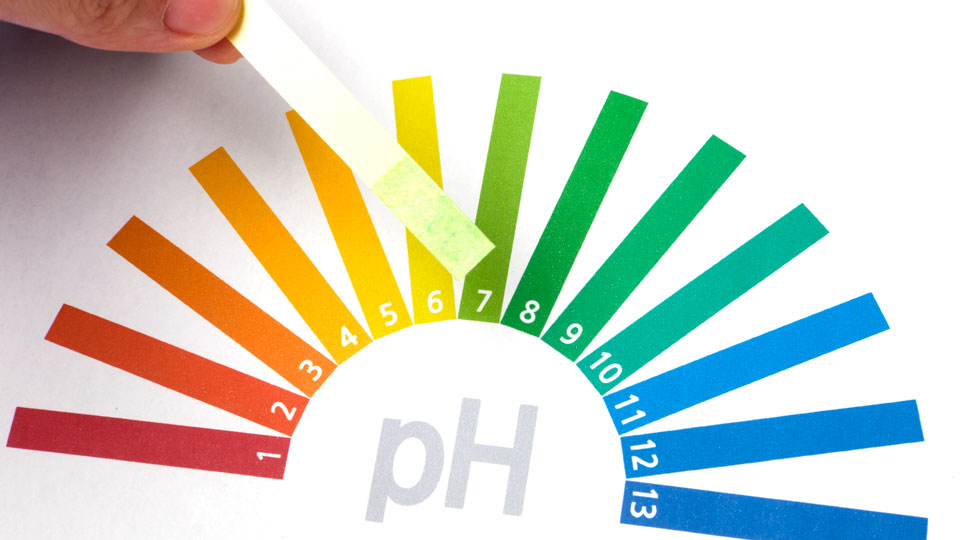 ph-test