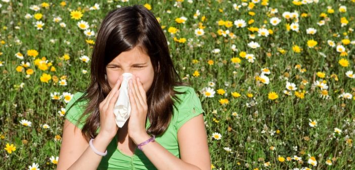 pollinoz-sezonnaya-allergicheskaya-reaktsiya
