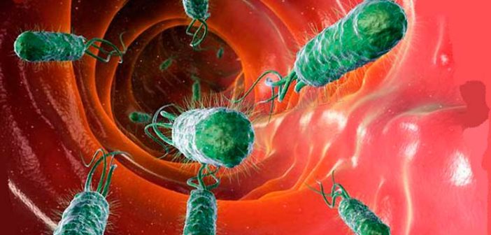 uslovno-patogennyh-bakterij-faktor-vozniknovenii-disbakterioza-vlagalishha