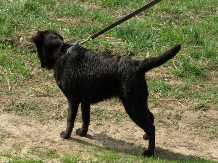 01-05-08-164_1024x768_640x371