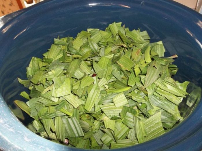 011-1024x768-768x576