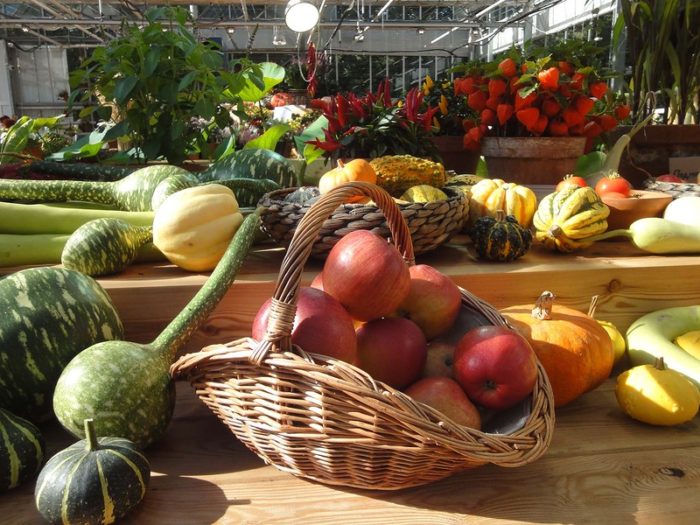 0_1a73c7_7824e3ae_xl