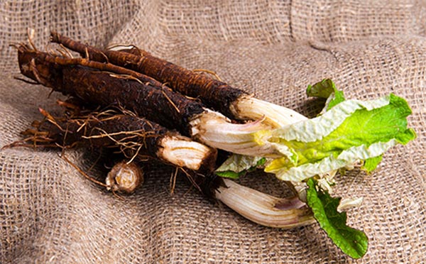 12_koren-lopuha-dlya-volos-kak-ispolzovat-korenja-nanka-photo