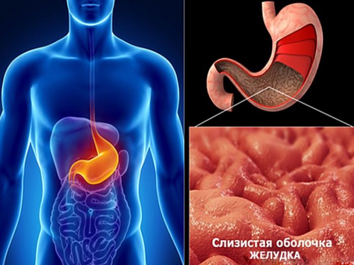 80a7dba9b282006c2a3b9e5c2c4e5a4a