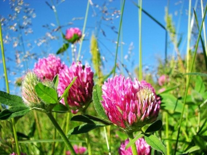 9cf31879423dd3cfb37e77ff1558e3ef