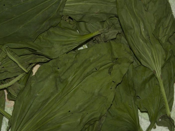 akmii1dwpjx3dci7agysew