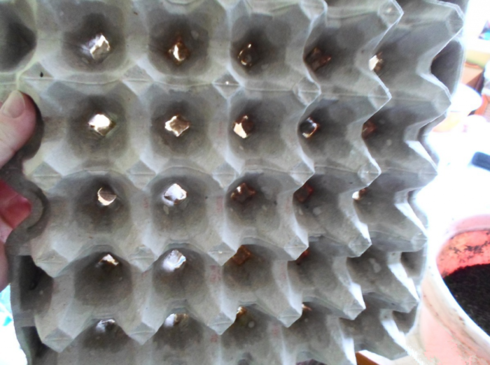 clip2net_170427045651-1024x764