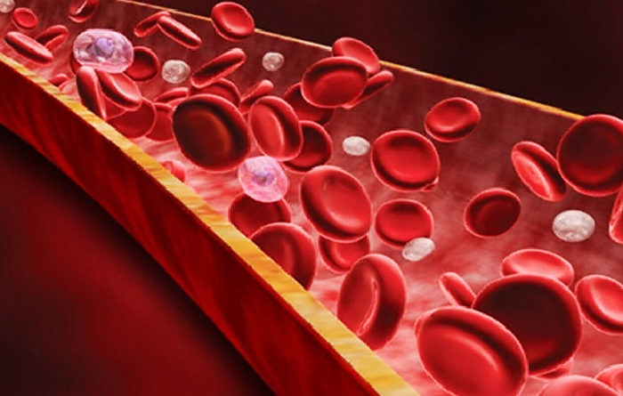 kislotno-schelochnoi-balans-kislaya-sreda-v-organizme-cheloveka