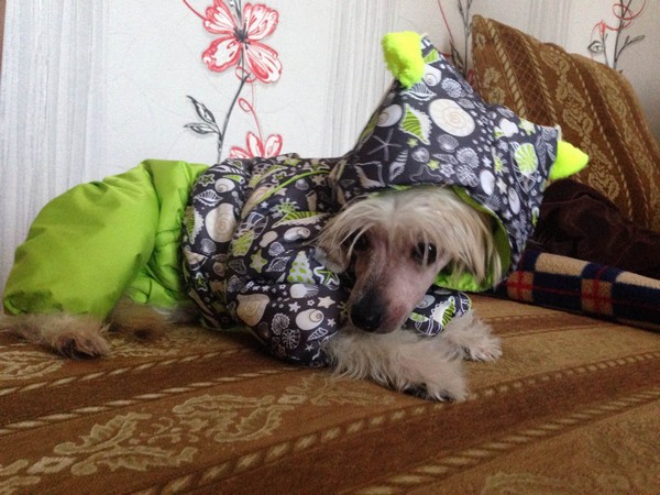 kitajskaya-xoxlataya-podbor-odezhdi-16