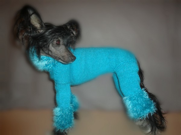 kitajskaya-xoxlataya-podbor-odezhdi-19