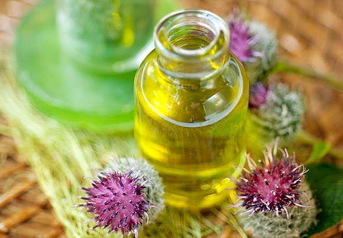 maski-s-repejnym-maslom-i-medom-dlya-volos