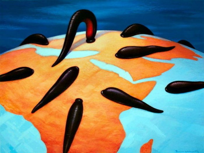Leeches on parts of globe