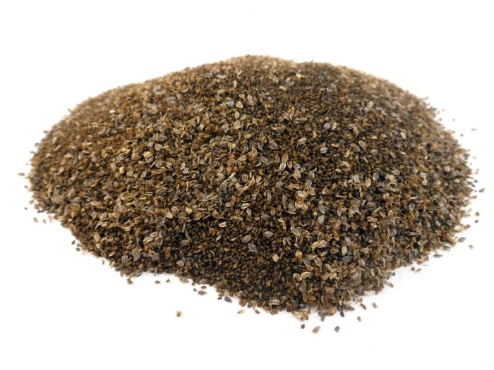 podorozhnik-semena-800x600