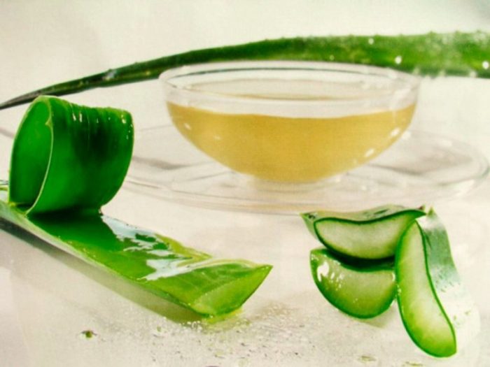 recept-aloe-s-medom-dlya-immuniteta