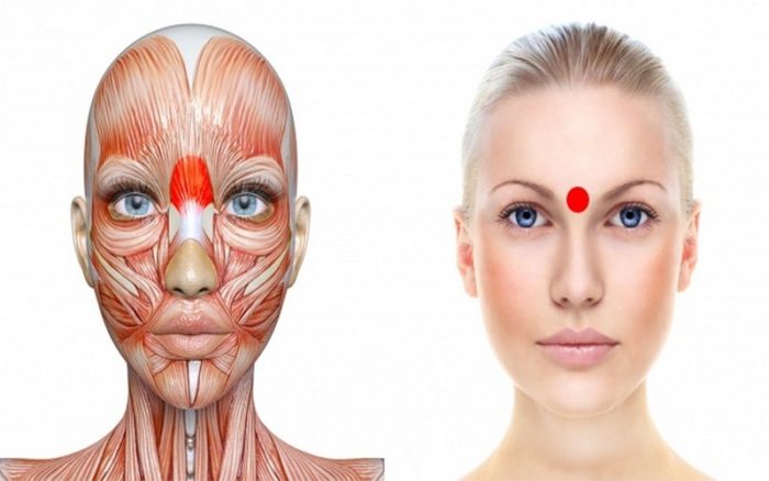 tochka-mezhdu-brovyami