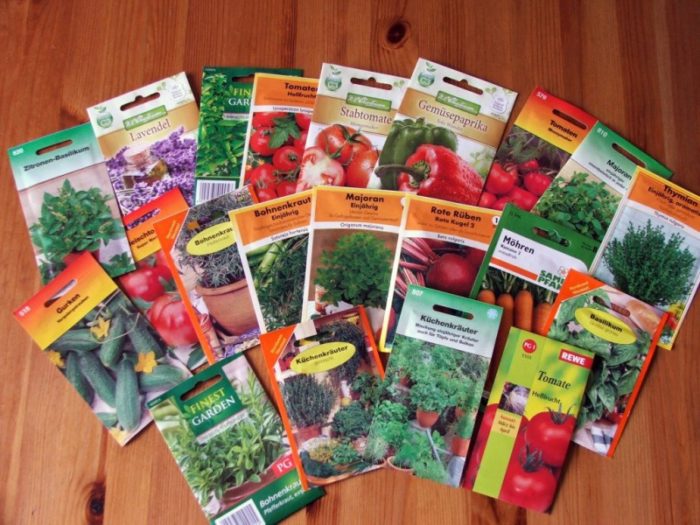 vyrashhivanie-rassady-na-prodazhu-v-teplice-s-chego-nachat-v-domashnih-uslovijah-video