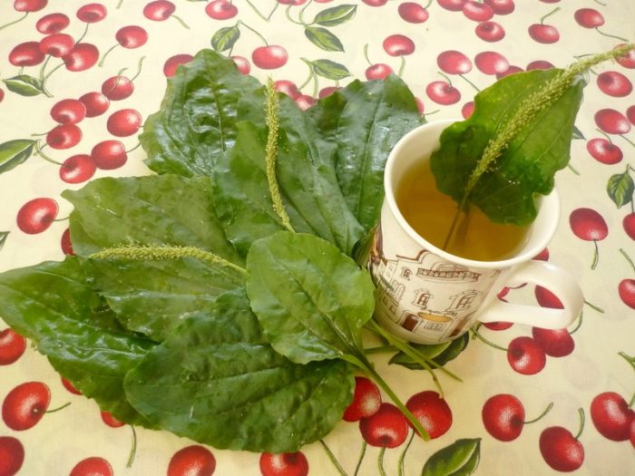 Çàâàðèâàåì ÷àé ñ ïîäîðîæíèêîì