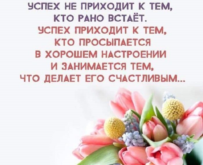 12994514_1300332666663544_3683582888129732504_n