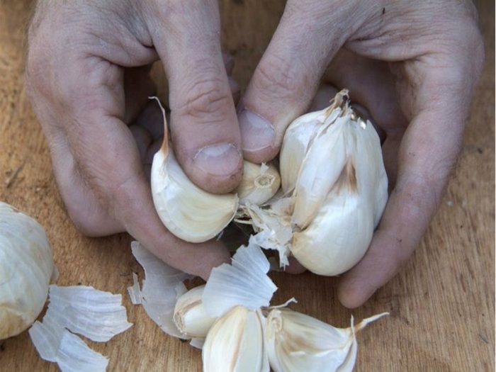 2787ecf3-a2c5-4192-bec8-a1cc7a95ea1c-ac2ec4e