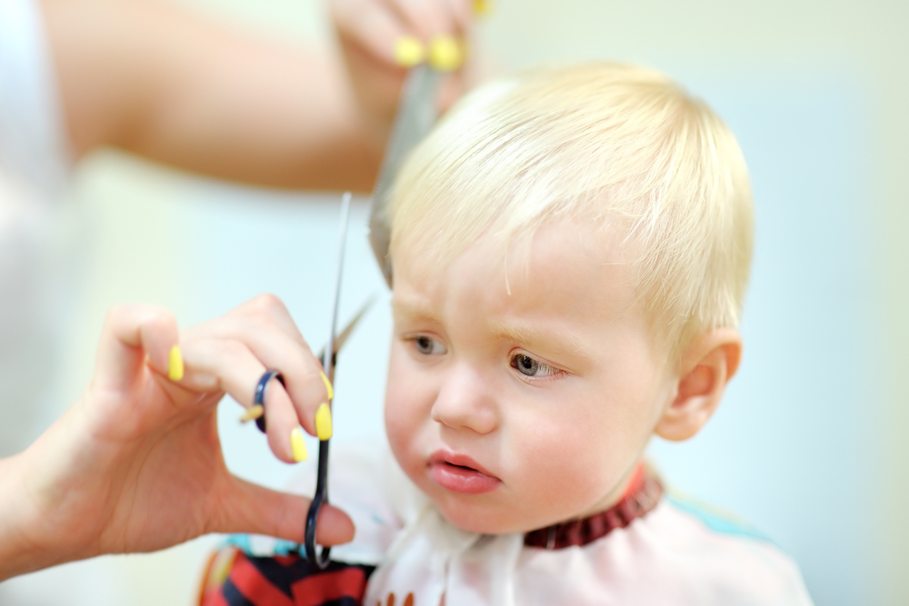 Portrait of toddler child getting his first haircut