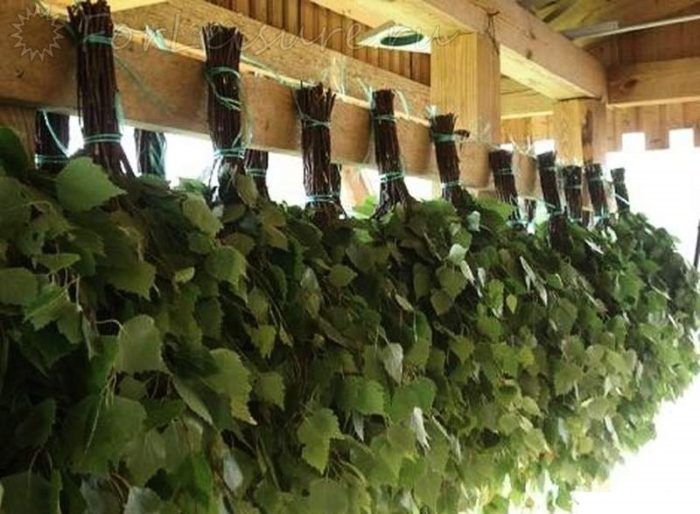 41_2320_berezovye-veniki-00034910_389651