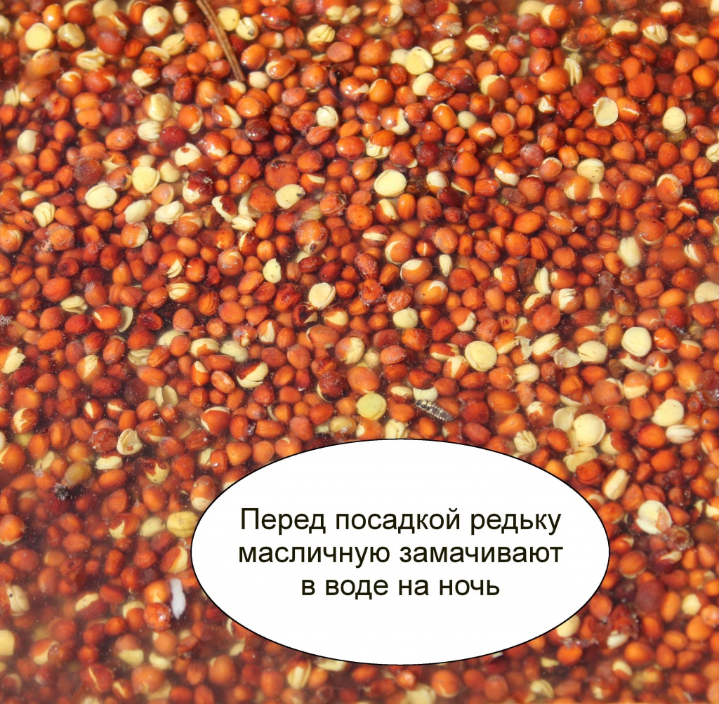 6568500bade54b96c9f118b53f652aa9